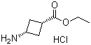 顺式-3-氨基环丁酸乙酯盐酸盐分子结构 (CAS 957793-35-0)