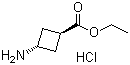 反式-3-氨基环丁酸乙酯盐酸盐分子结构 (CAS 957793-36-1)