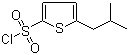 5-异丁基噻吩-2-磺酰氯分子结构 (CAS 958650-96-9)