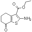 2-氨基-7-氧代-4,5,6,7-四氢苯并[b]噻吩-3-羧酸乙酯分子结构 (CAS 96334-44-0)
