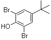 2,6-二溴-4-叔丁基苯酚分子结构 (CAS 98-22-6)