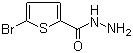 5-Bromothiophene-2-carbohydrazide molecular structure (CAS 98027-27-1)