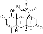 臭椿酮分子结构 (CAS 981-15-7)