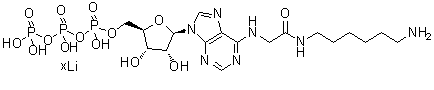 N-[2-[(6-氨基己基)氨基]-2-氧代乙基]-腺苷 5'-(四氢三磷酸酯)锂盐分子结构 (CAS 98704-19-9)