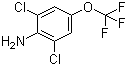 2,6-Dichloro-4-(trifluoromethoxy)aniline molecular structure (CAS 99479-66-0)